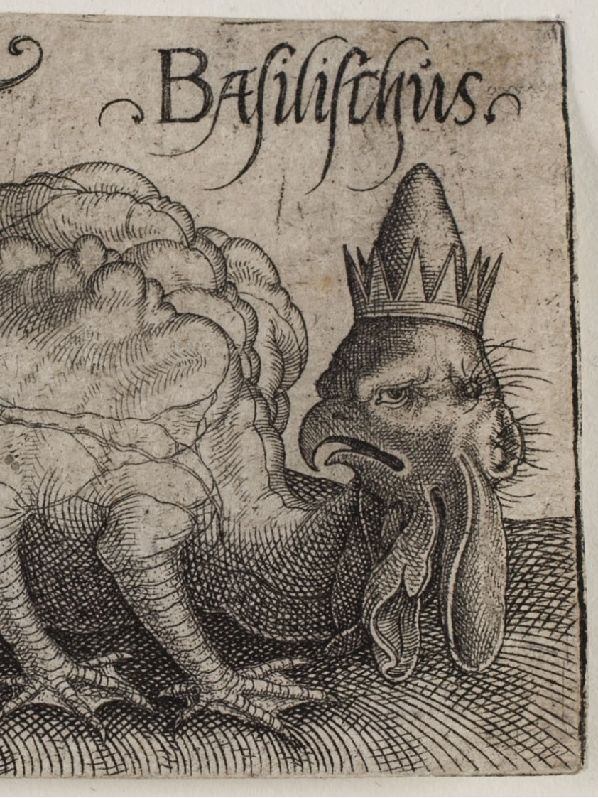 Illustration de Le Basilic