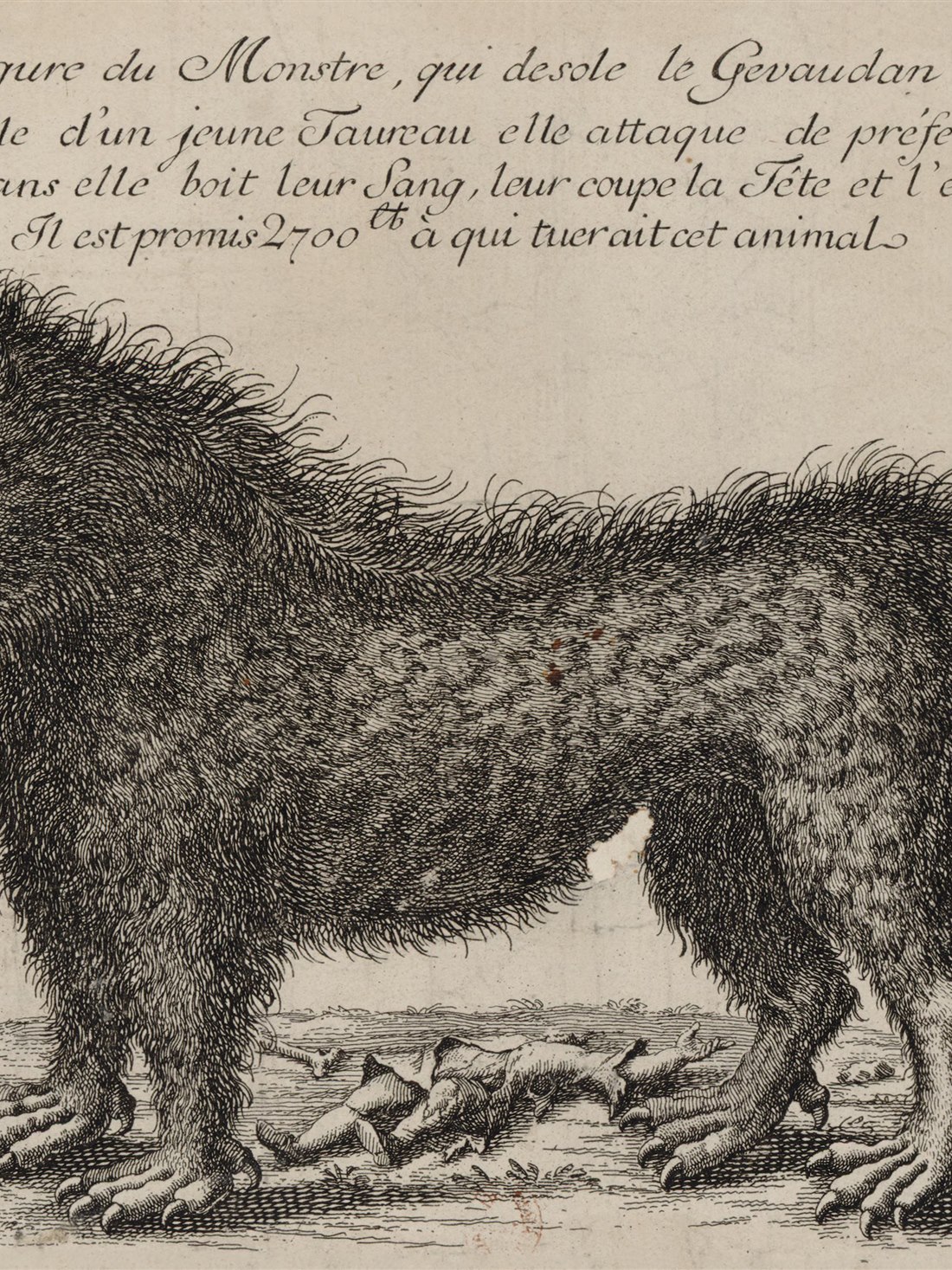 La Bête du Gévaudan