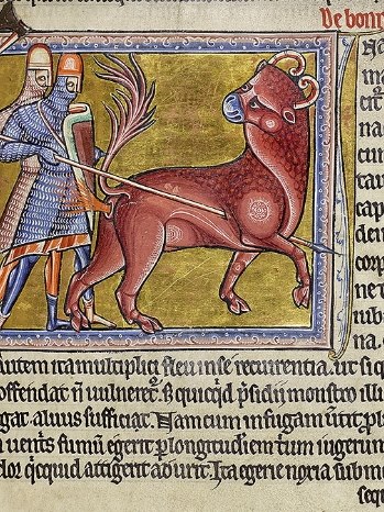 Le Bonnacon