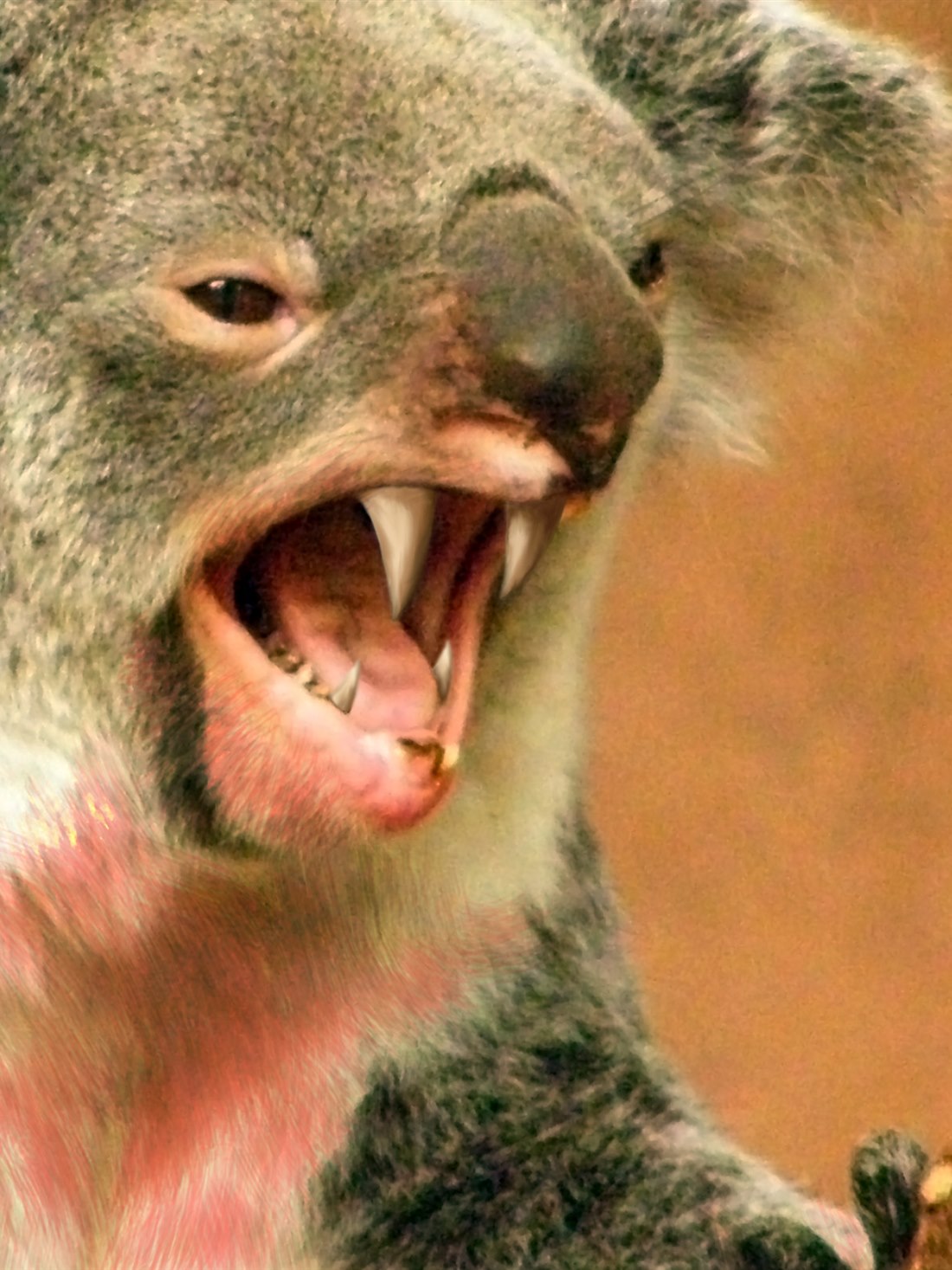 Le Drop Bear