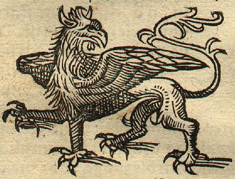 Le Griffon