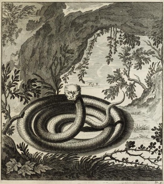 Le Tatzelwurm