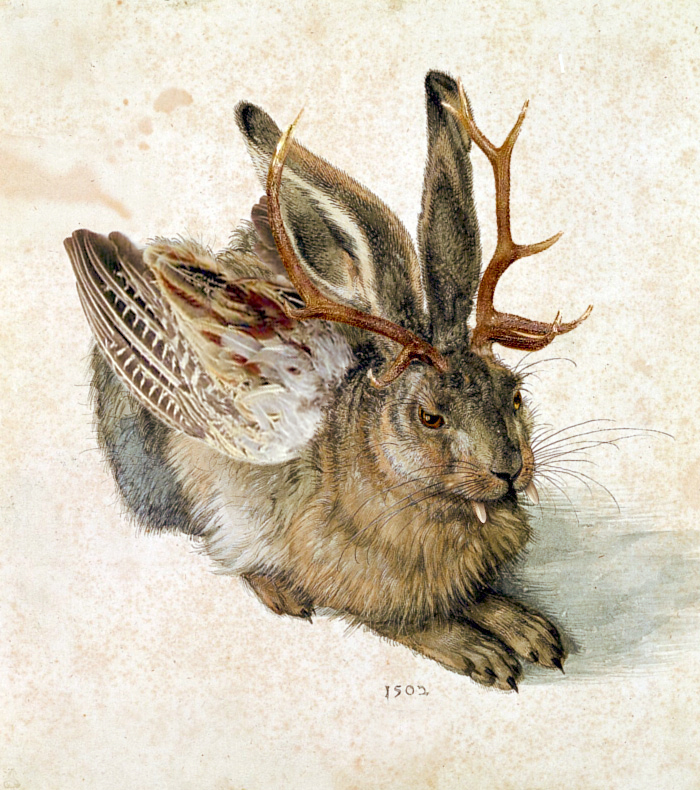 Le Wolpertinger