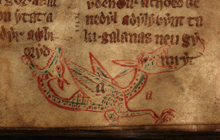 Illustration de La Wyverne