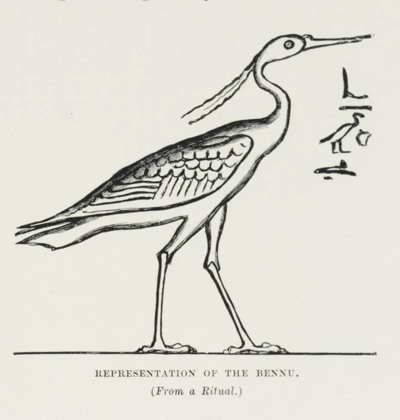 Illustration de Le Bennu
