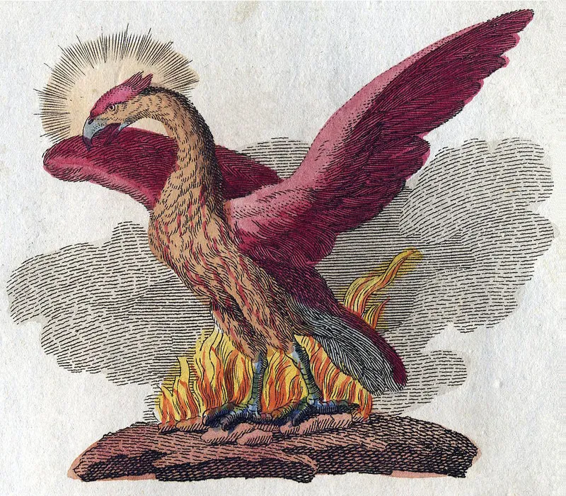 Illustration de Le Phénix