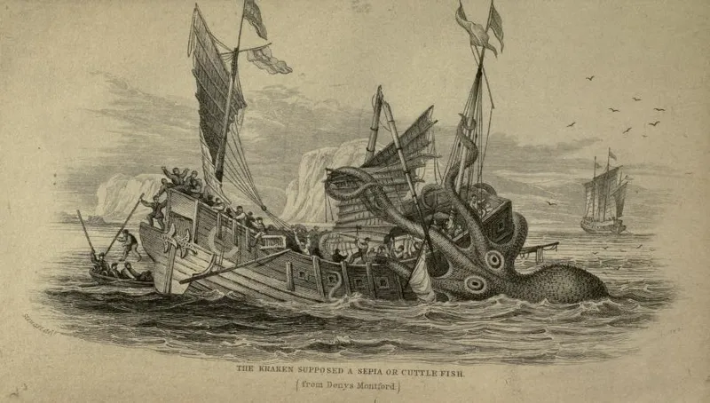 Illustration de Le Kraken