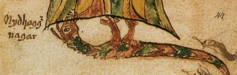 Illustration de Níðhöggr